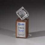 Награда из прозрачного стекла и натурального дерева (американский орех) CV004 M