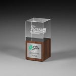 Награда из прозрачного стекла с зеркальным напылением и натурального дерева (американский орех) CV510 A