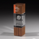 Награда из прозрачного стекла с зеркальным напылением и натурального дерева (американский орех) CV514 B