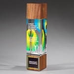 Награда из прозрачного стекла с зеркальным напылением и натурального дерева (американский орех) CV514 D