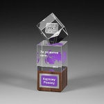 Награда из прозрачного стекла с зеркальным напылением и натурального дерева (американский орех) CV516 A