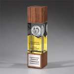 Награда из прозрачного стекла с зеркальным напылением и натурального дерева (американский орех) CV614 C