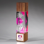 Награда из прозрачного стекла с зеркальным напылением и натурального дерева (американский орех) CV614 D