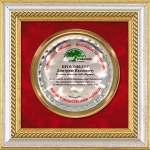 Наградная тарелка из хромированной латуни в багетной рамке, паспарту - красный велюр PFT-5C RD