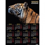 Календарь настенный листовой, 2022 год, формат А2 45х60 см, "Год тигра", HATBER, Кл2_25127