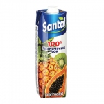 Сок SANTAL (Сантал), тропические фрукты, 1 л, для детского питания, тетра-пак, 547722